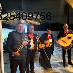 Vihuela ViolÃn De Mariachi