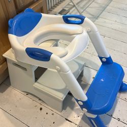 Potty training Seat With Step Stool