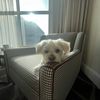 charlie