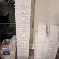 Container Store Regular And Large Shoe Boxes
