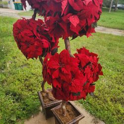 Artificial Christmas Poinsettias Tree
