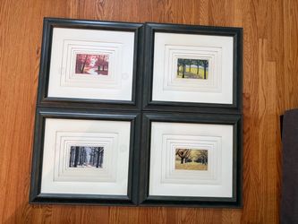 Set of 4 Framed Seasonal Tree Prints