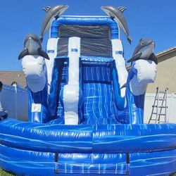 The 4 Dolphins Waterslide For Sale