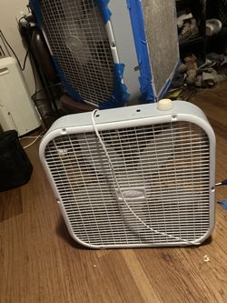 standard 20in box fan