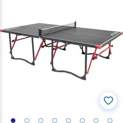 Ping Pong Table