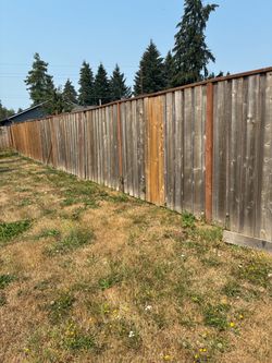 Fence boards and 2x4 4x4