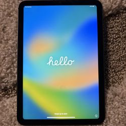 iPad Mini 6th Gen 256 Gig
