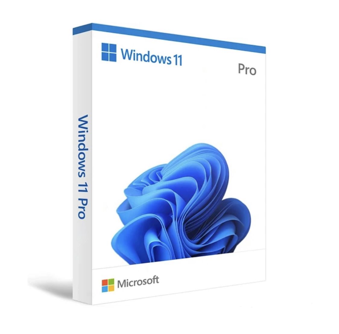 Microsoft Windows 11 PROFESSIONAL PRO *Lifetime License*