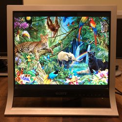 Sony XBrite SDM-HD75P 17” LCD Monitor