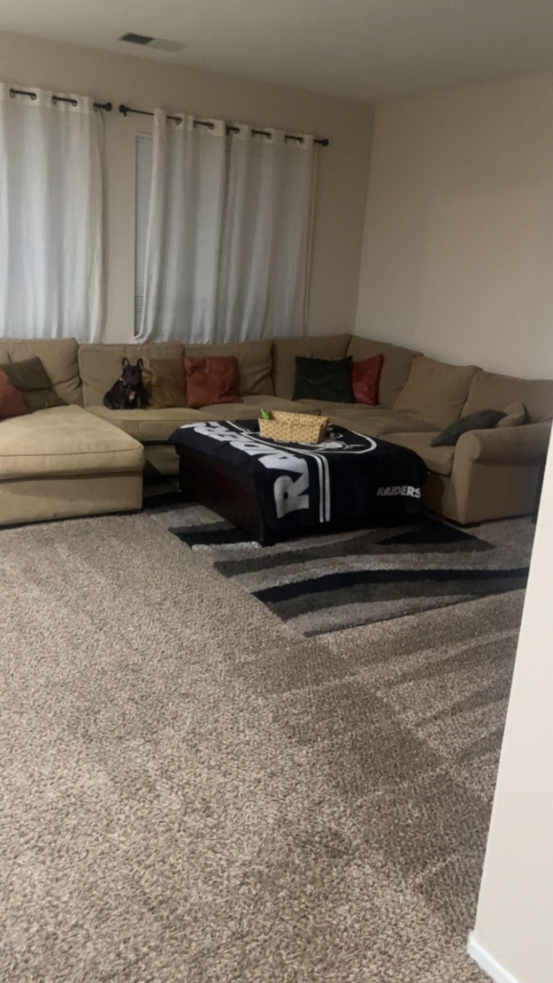 Sectional Couch