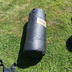 Everlast Punching Bag 