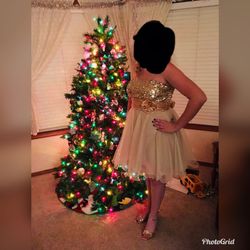 Gold Dress
