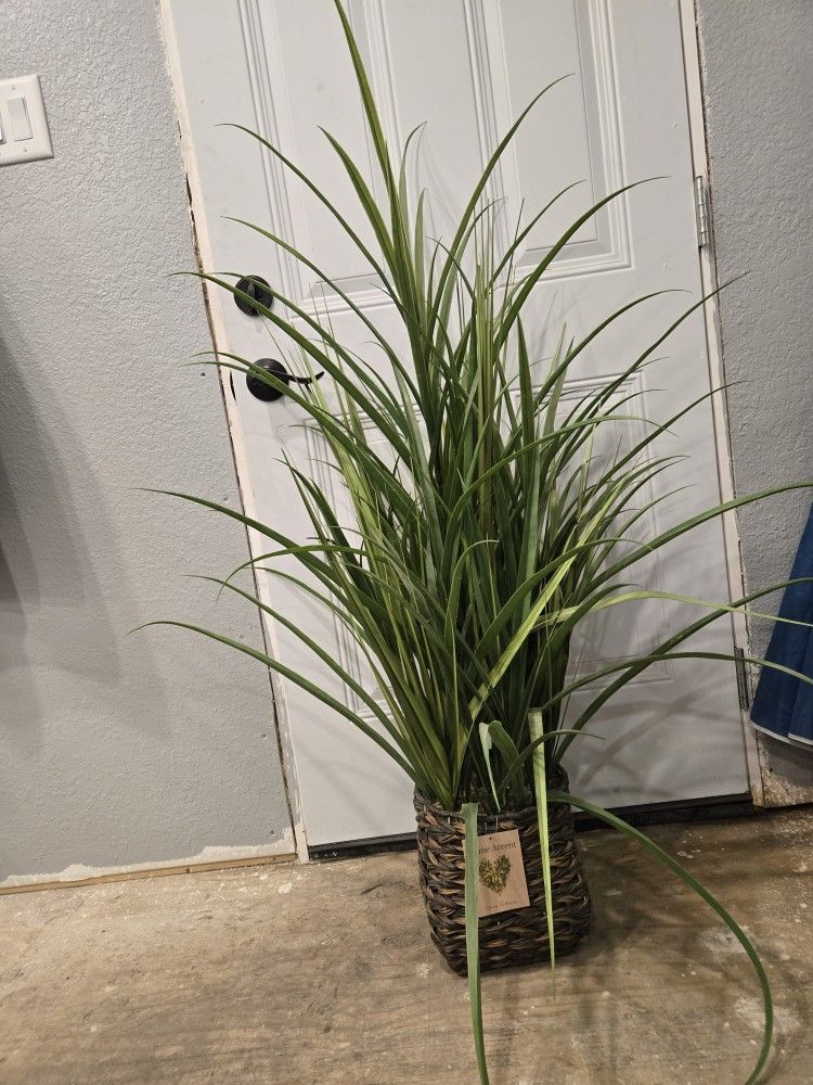 Fake Plant
