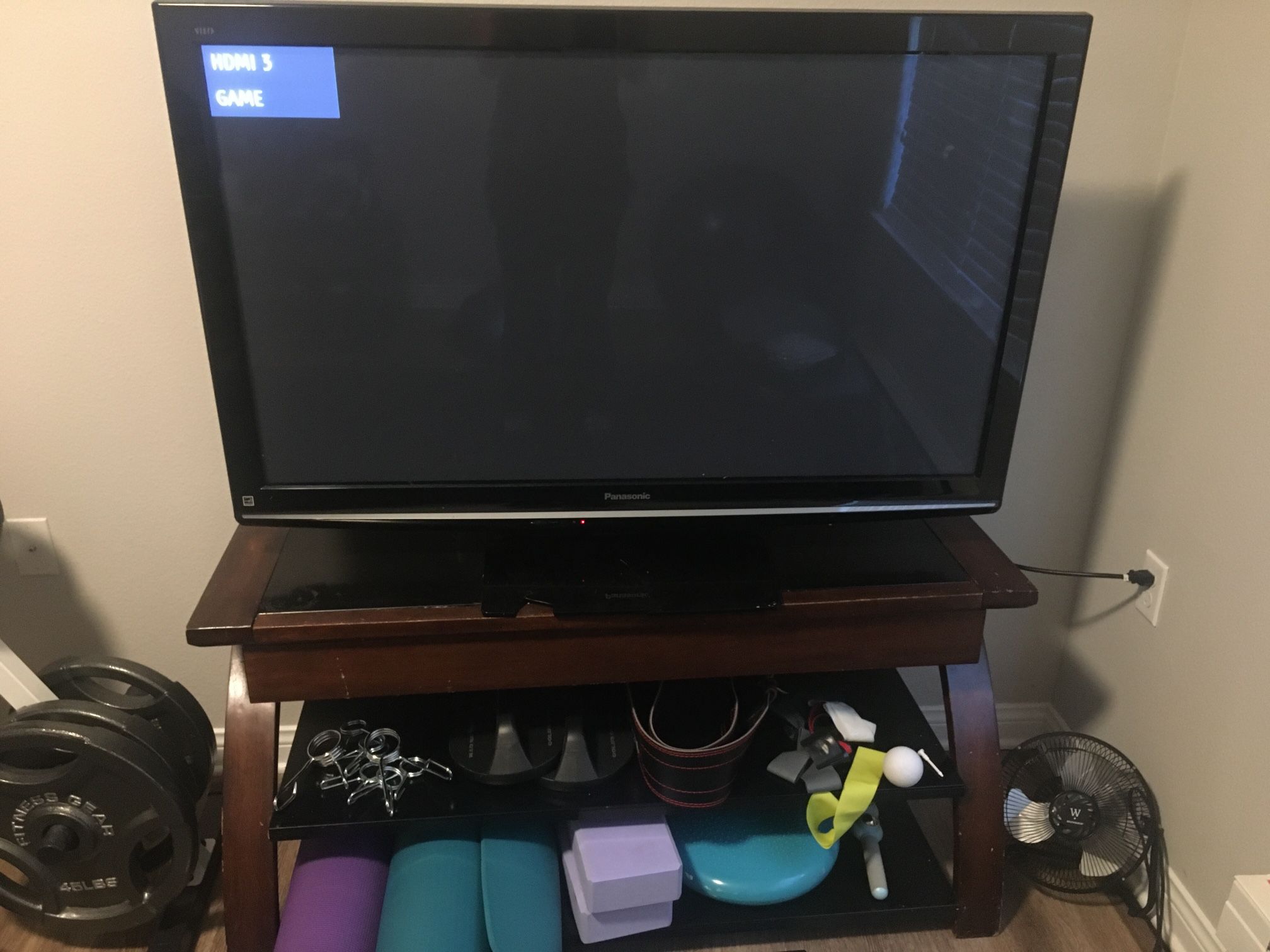 48” Panasonic Television With Stand 