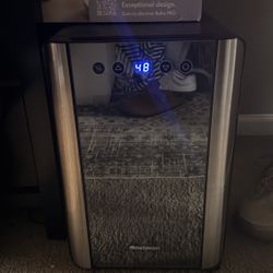 Wine Enthusiast 6-Bottle Wine Cooler 🍷