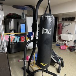 Punching bag 