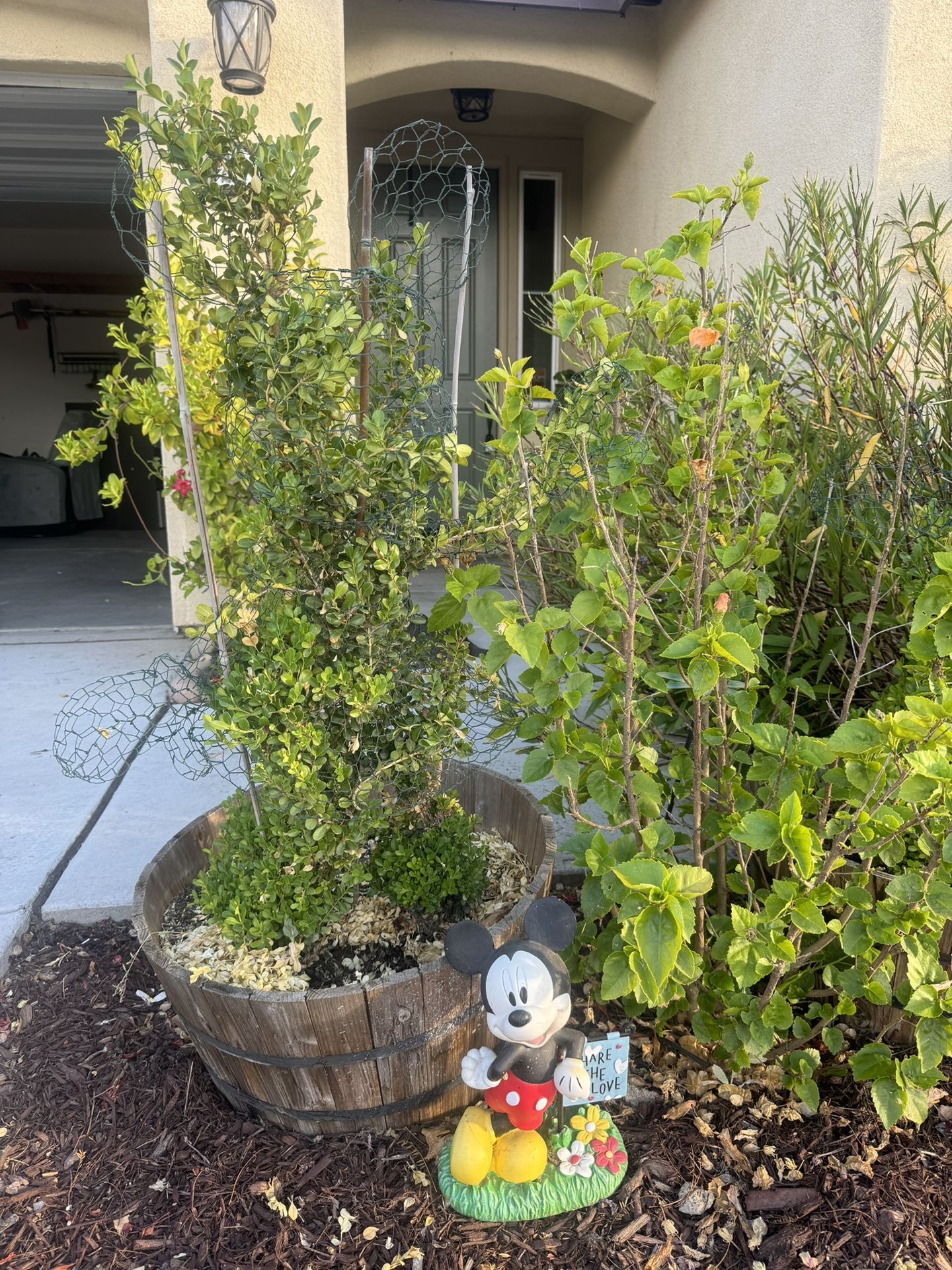 Mickey And Minnie Topiaries