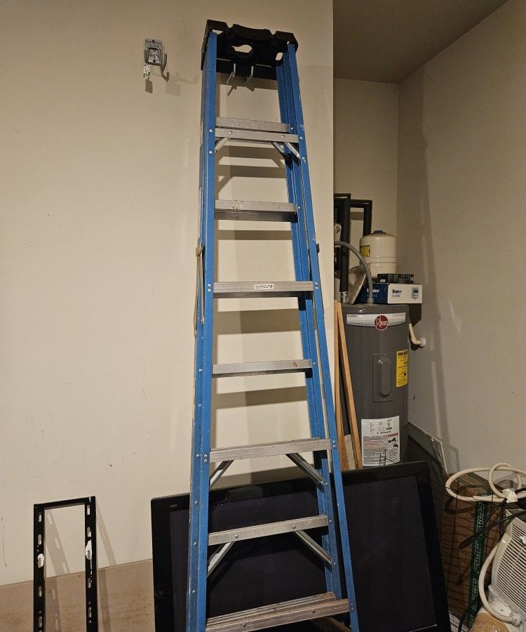 Climbing Ladder 12feet Tall