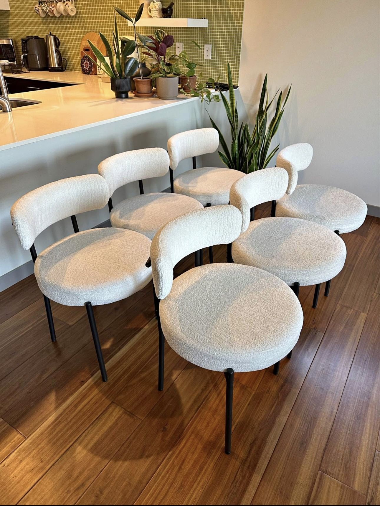 Dining Chairs (6)