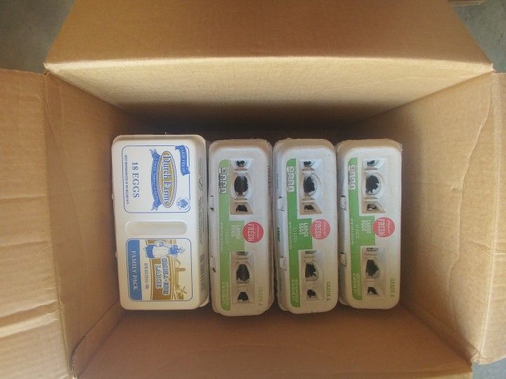 $10 Box Of Empty Egg Cartons