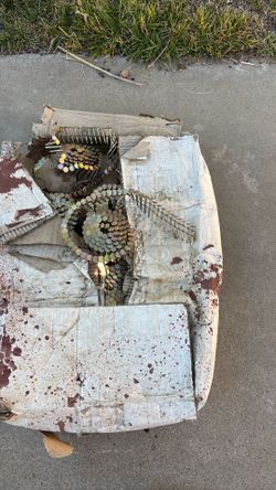 Roofing coil nails