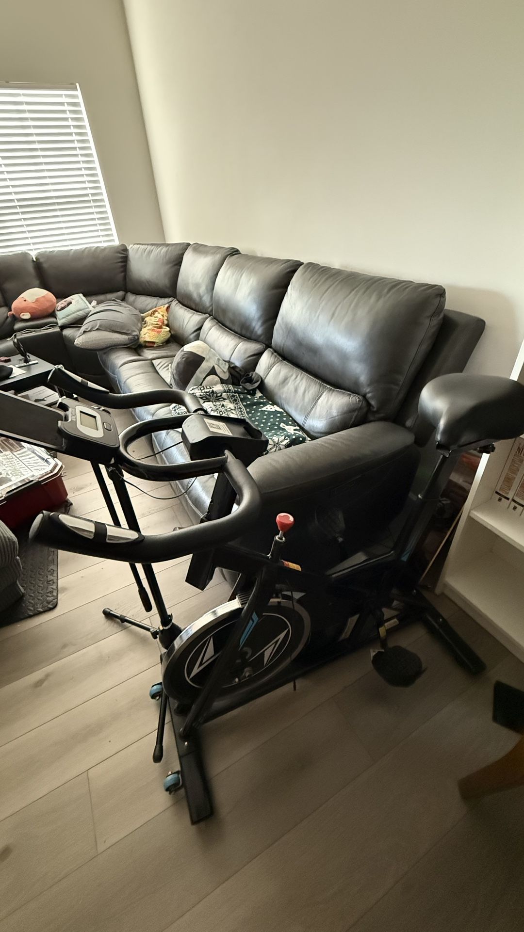 Ancheer Indoor Cycling 