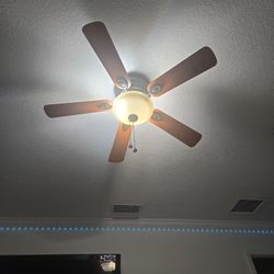 Ceiling Light With Fan