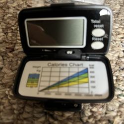 Pedometer 