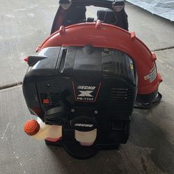 Echo Leaf Blower 