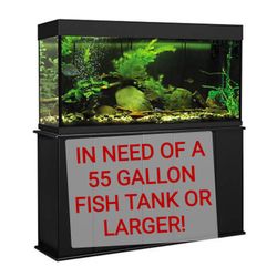 IN NEED OF A 55 GALLON TANK OR LARGER!