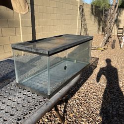 Medium Glass Reptile Enclosure 