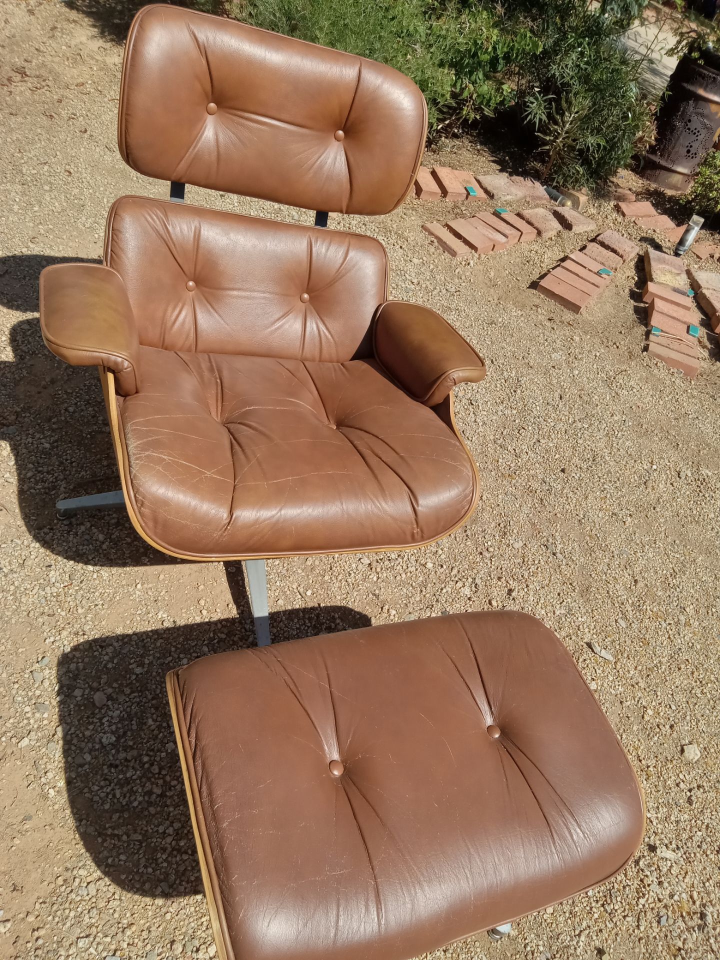 Designer Chair and Ottoman