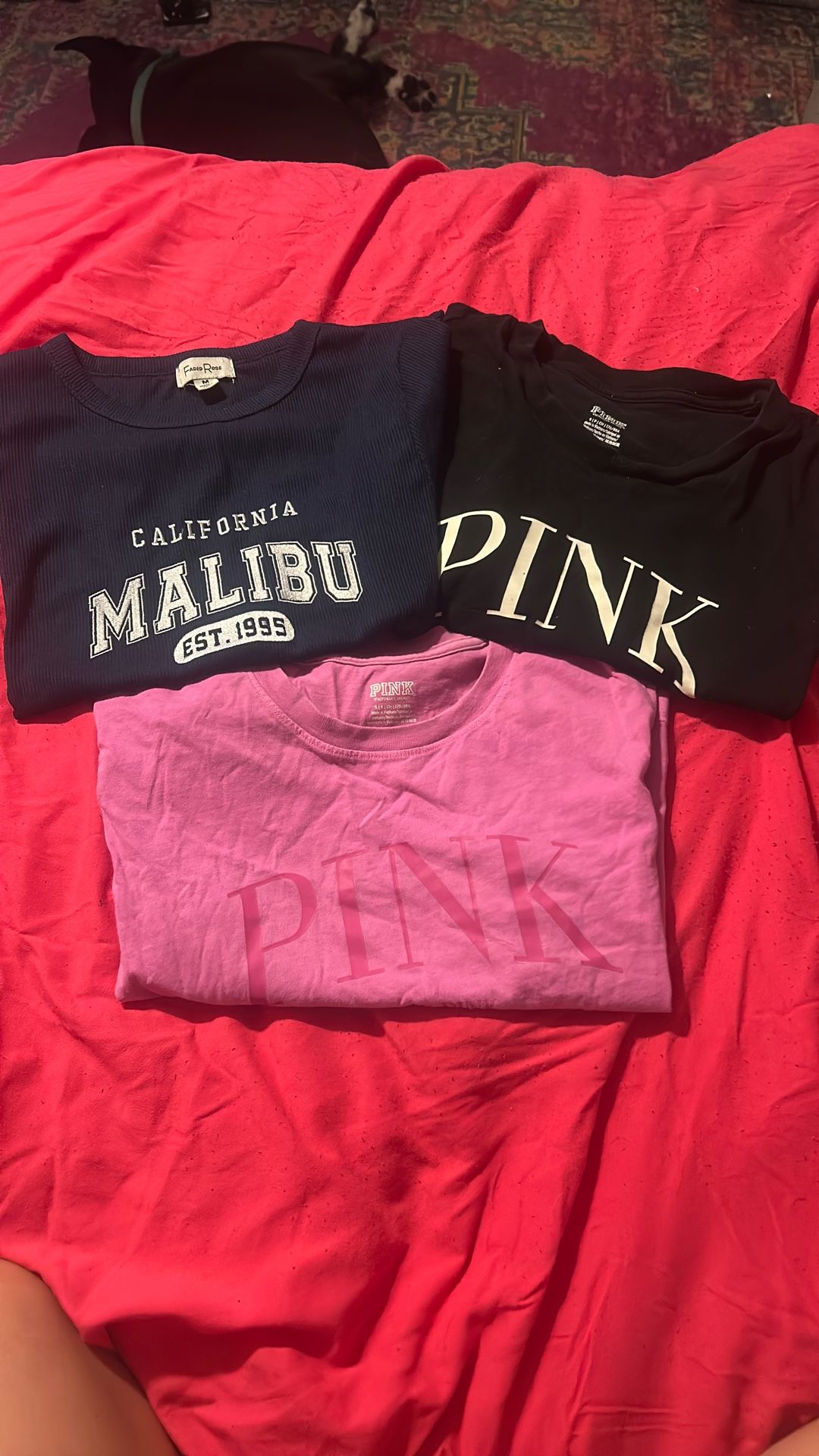 Women’s Graphic Tees