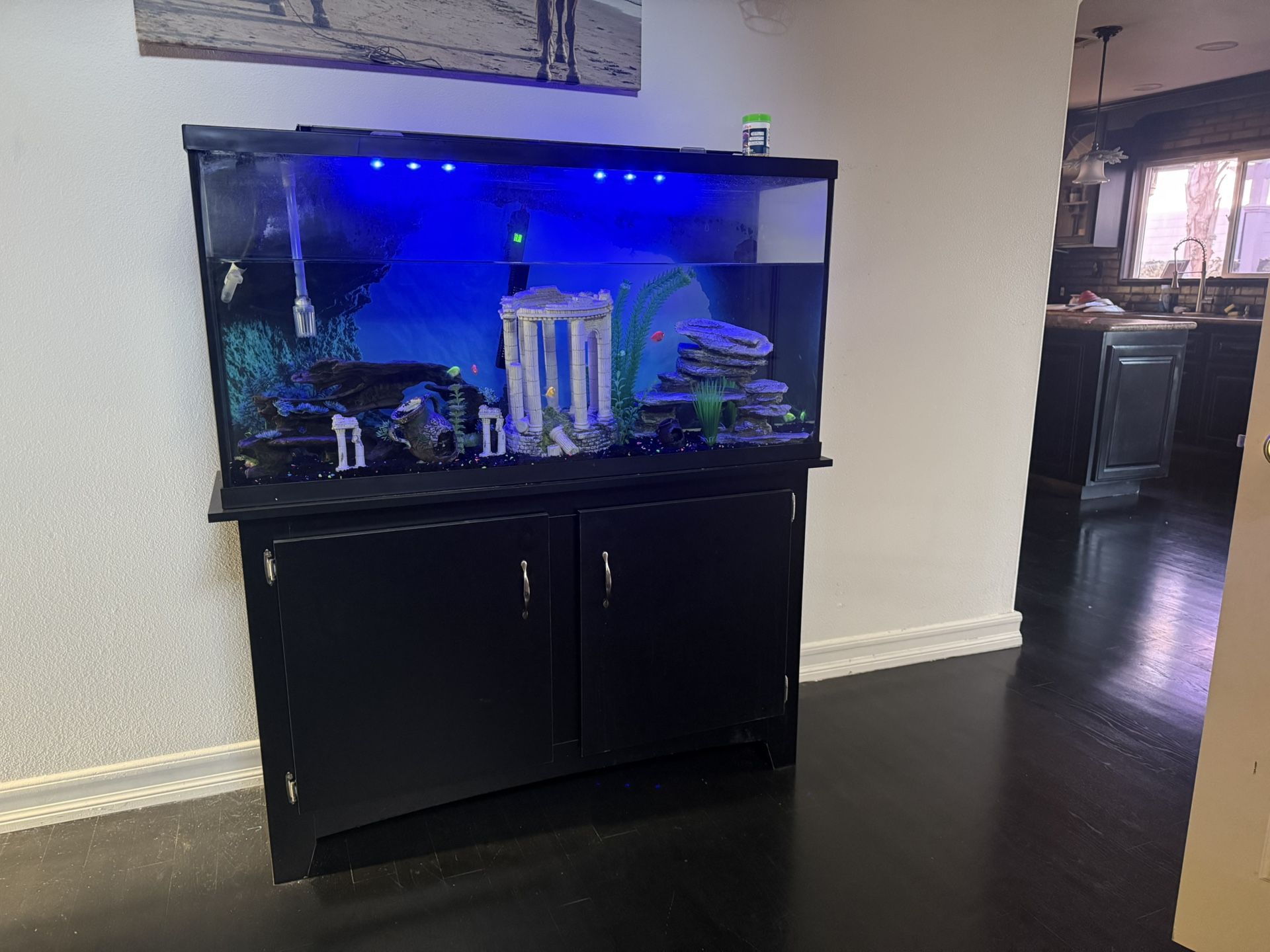 65 Gallon Fish Tank With Filter 