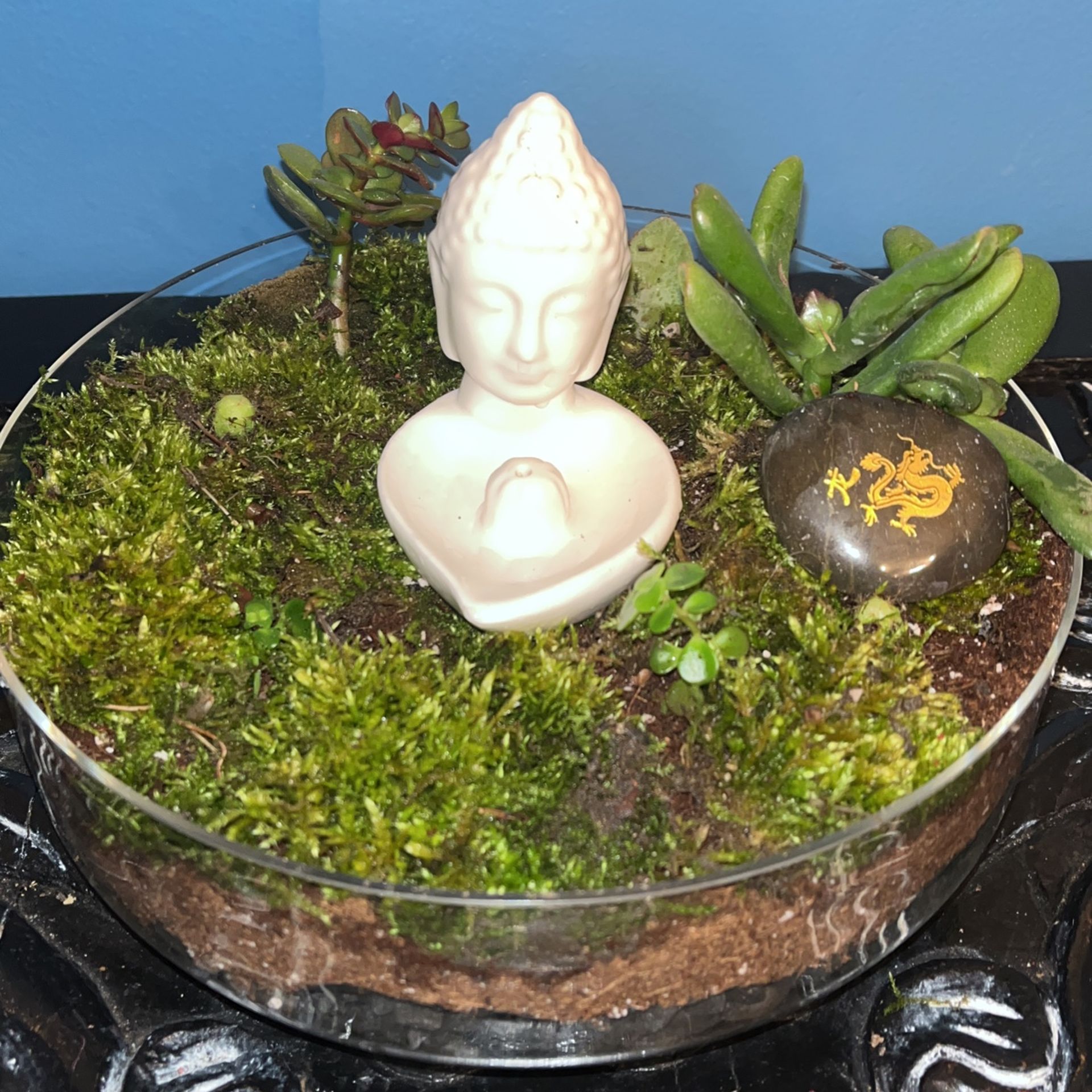 Terrarium Bowl