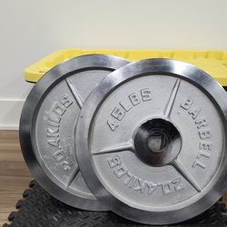 45lb Chrome Olympic Weight Plates ( Rare )
