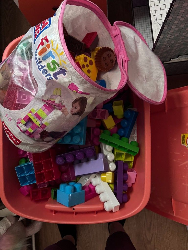 Building Blocks Plus The Tote 