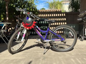 Pacific 24" Youth Mountain Bike