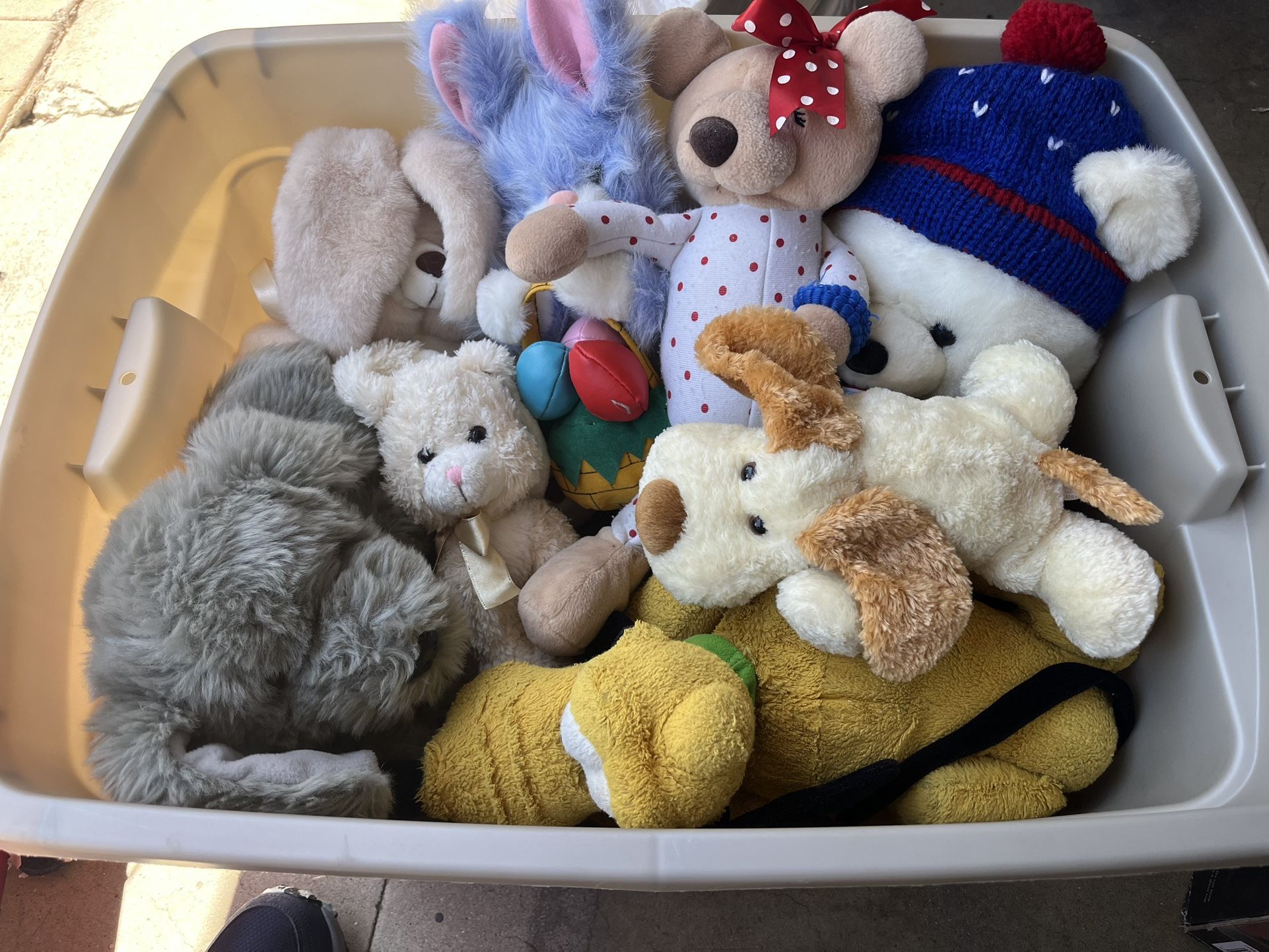 Stuffed Animals