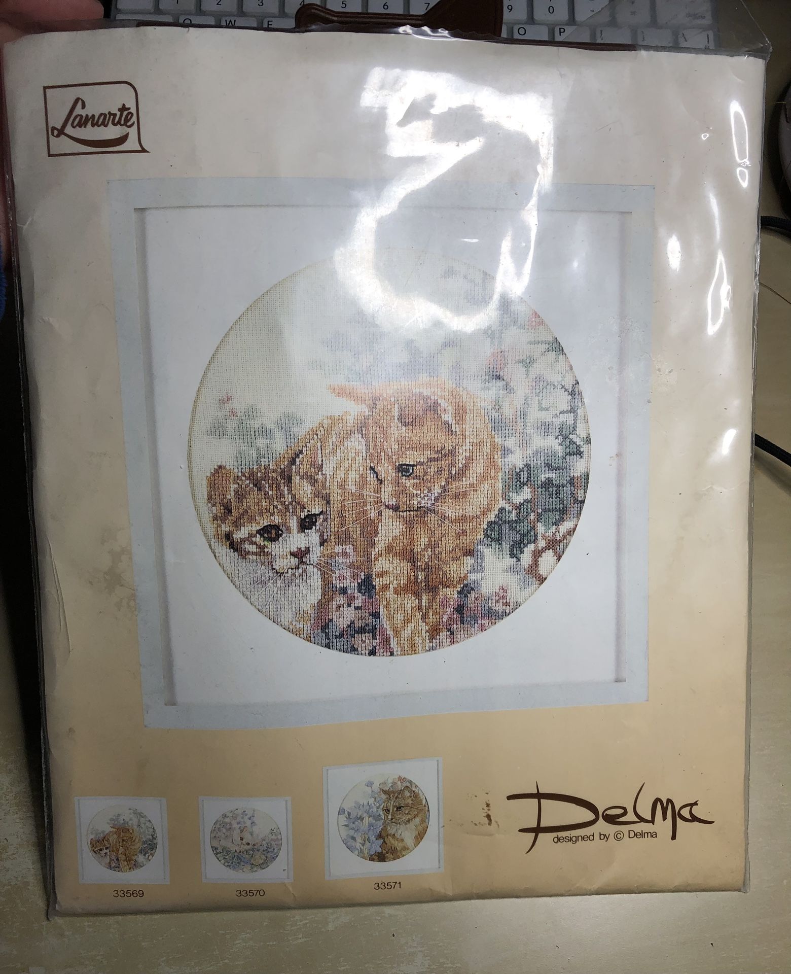 Lanarte counted cross stitch by Delma