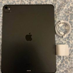 iPad Pro M4 13 Inch Cell 