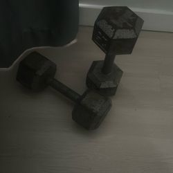 25lb Dumbbells 