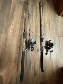 Fishing Pole And Reel..
