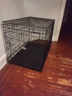 Dog  cage