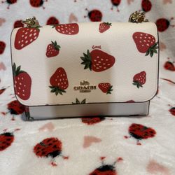 Coach Strawberry Bag 