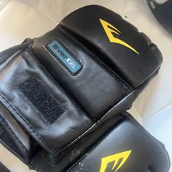 Everlast Boxing Gloves 8oz 