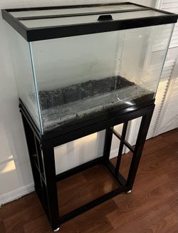 2X 20 Gallon Tank With Stand