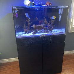 Aquarium For Sale 