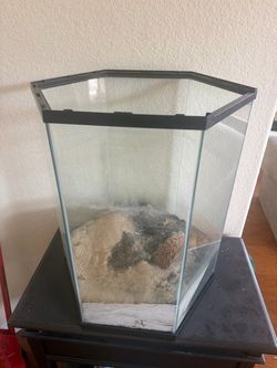 Fish Tank hexagon