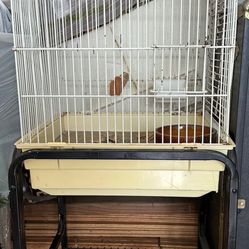 Small Bird Cage 